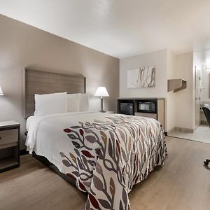 Deluxe  Renovated Disability Access