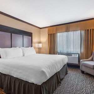Executive King Suite