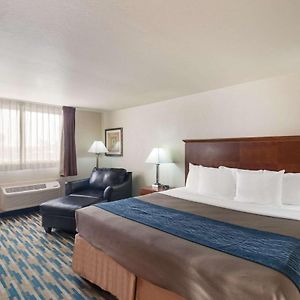 Superior King Suite