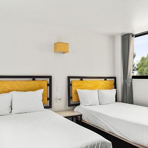 Duplex Suite