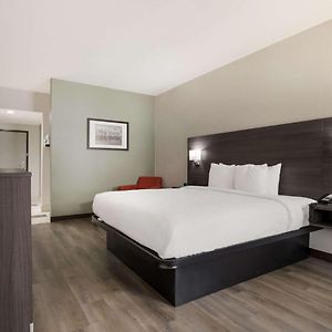 King Room Mobility accessible