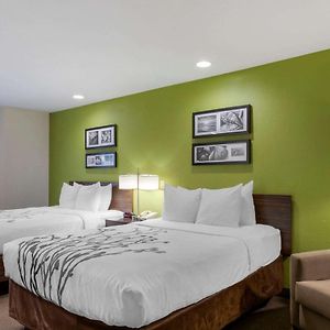 Queen Suite