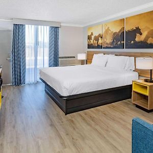 King Room Disability Access