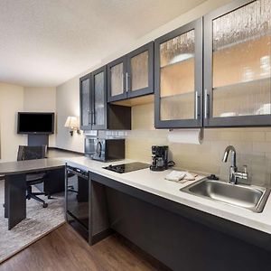 Studio Suite