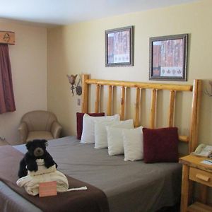 Premier King Room