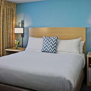 One-Bedroom King Suite