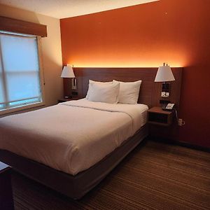 One-Bedroom Queen Suite Mobility accessible