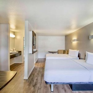 Standard King Suite