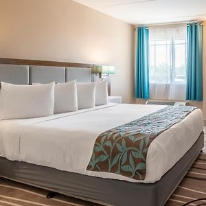 King Room Mobility accessible