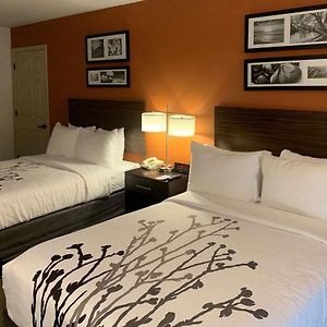 Double Room Mobility accessible