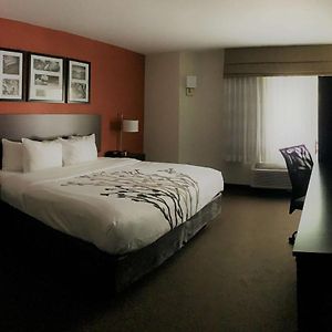 King Room Mobility accessible