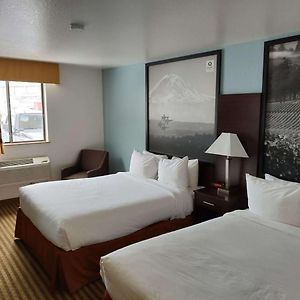 Queen Suite