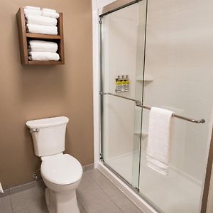 Studio Suite