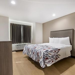 Deluxe  Queen Room Disability Access