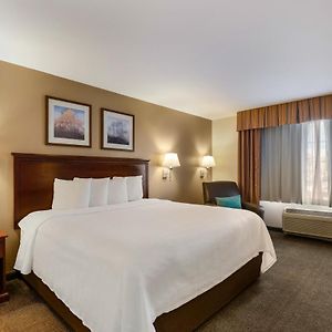 Efficiency One Room King Suite Disability Access