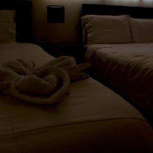 Twin Room Disability Access