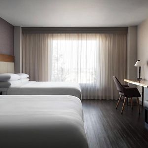 Executive Level Queen Room