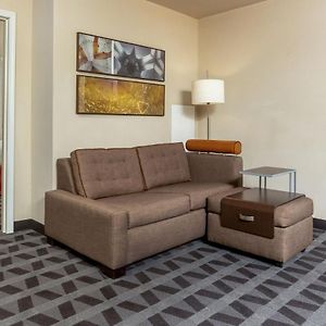 One-Bedroom Queen Suite
