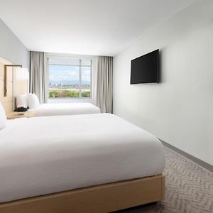 One-Bedroom Queen Suite