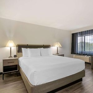 Executive King Suite