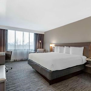 King Suite Mobility accessible