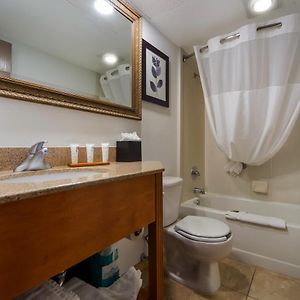 One-Bedroom King Suite