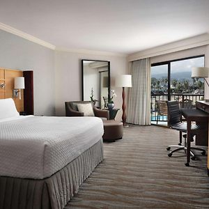 Executive King Room