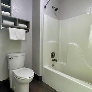 Studio Suite