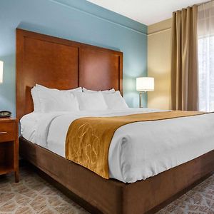 King Room Mobility accessible