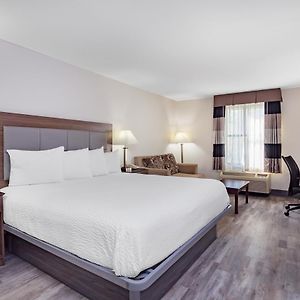 King Room Disability Access