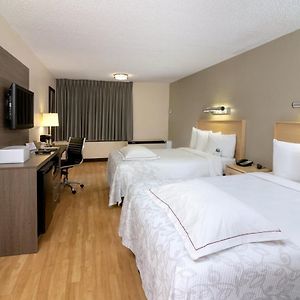 Upgraded Room