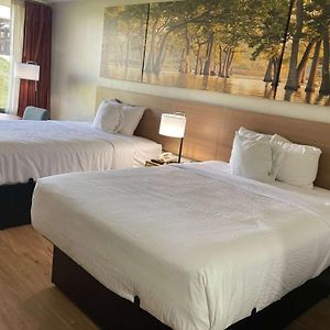 Studio Suite