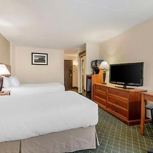 King Room Disability Access