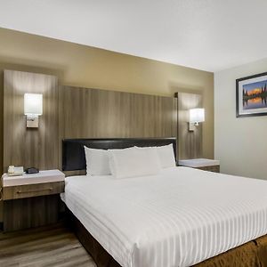 King Room Mobility accessible