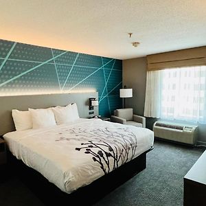 King Room Mobility accessible