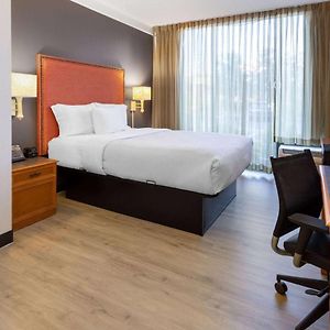 Deluxe  Queen Room Mobility accessible