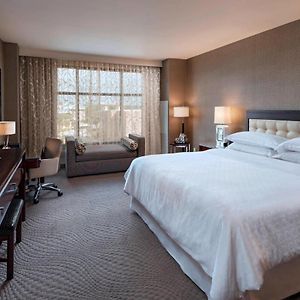 King Room Mobility accessible