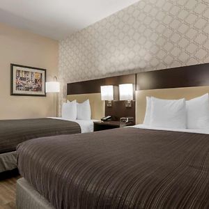 Mini Suite