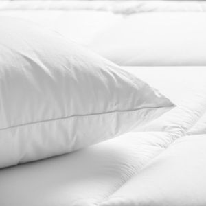 Guest Room Pure