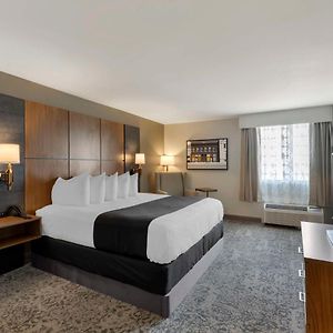 Top Floor King Suite