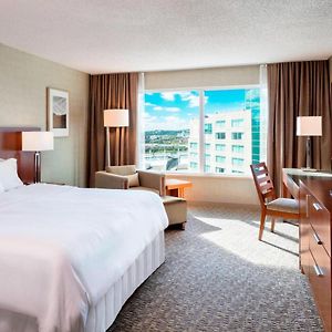 Premium King Room