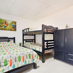 Family Double Room
