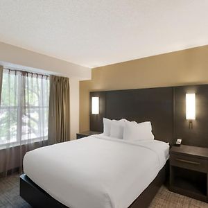 One-Bedroom King Suite