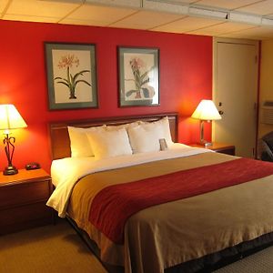 Deluxe  Queen Room Disability Access