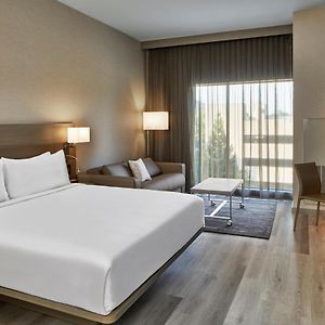 Large King Room Hearing accessible