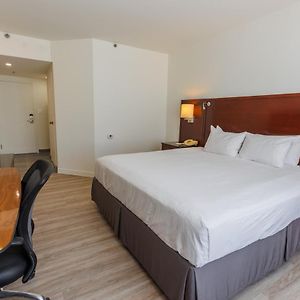 King Room Mobility accessible