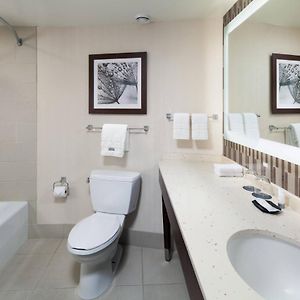Tradition King Room Mobility accessible
