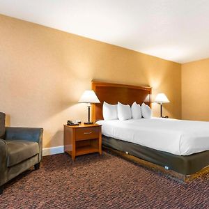 Executive King Room