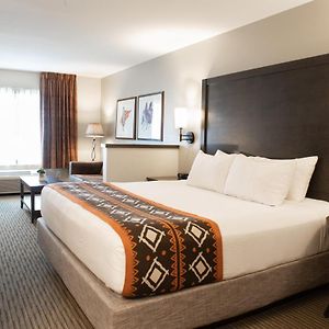 City King Suite