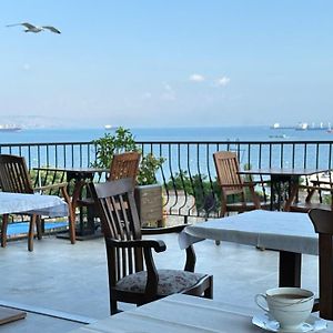 Queen Seagull Boutique Hotel